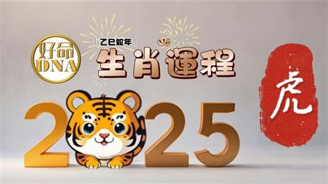 武曲破軍|2025年 乙巳蛇年 「武曲破軍」在流年命宮運勢分析：紫微斗數怎。